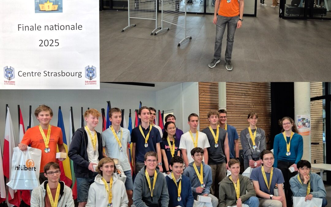 Großer Erfolg beim nationalen Finale der Internationalen Mathematik- und Logikspiele!